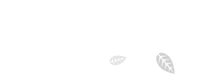 Unten im Bild ist ein kleines schwarzes Blatt mit sichtbaren Adern zu sehen. Rechts vom Blatt befindet sich ein hohes, schmales schwarzes Rechteck, das auf weißem Hintergrund ein minimalistisches und abstraktes Design erzeugt.